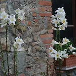Alloggio per agriturismo Le Biricoccole *