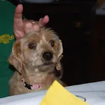 Le Biricoccole Vada