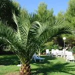 Alloggio per agriturismo Le Biricoccole Vada