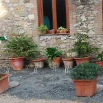Le Biricoccole Alloggio per agriturismo Vada