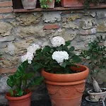 Alloggio per agriturismo Le Biricoccole *